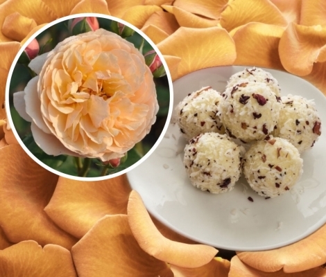 EVELINE WILD valgoma